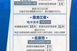 31省新增本土确诊23例:河北20例，河北新增90例本土确诊