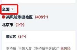 疫情中高风险地区最新名单实时查询app（全国疫情中高风险地区名单查询）