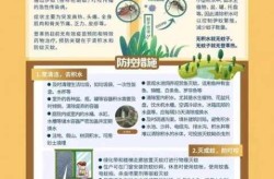 2024年北京登革热最新疫情（海南登革热最新疫情）