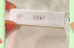 上海同一小区一天测出13个假阳性（什么情况验孕棒会出现假阳性）
