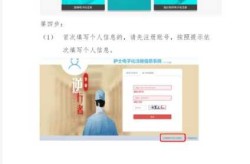 护士电子化信息注册系统入口个人端（护士电子化登录入口个人端查询）