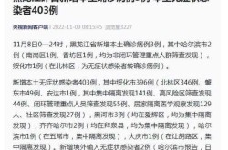 黑龙江新增3例本土病例，黑龙江新增病例