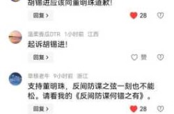 胡锡进:嘲笑和批评上海的人短视了（央视评论胡锡进炒股）