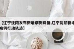 沈阳确诊病例旅游 新闻（沈阳新增确诊病例行程轨迹公布）