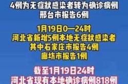 疫情最新消息今天河北石家庄（石家庄最新出行情况）