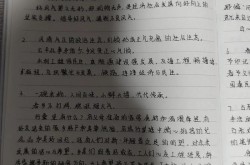 每日新闻摘抄10一30字，2025新闻摘抄30字