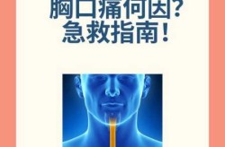 全国各城市感染高峰期进度查询（烫伤第几天是感染高峰期）