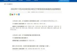 31省新增14例确诊 本土7例在辽宁（辽宁新增本土确诊详情）