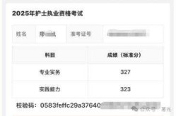 2013年护士资格证成绩查询（2013年护士执业资格成绩查询）
