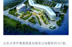 青岛市胸科医院在哪个区域，青岛市胸科医院搬迁到哪里