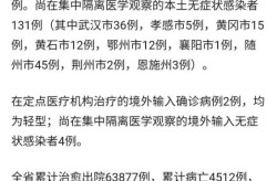 湖北新增10例无症状感染者，湖北2例无症状感染者