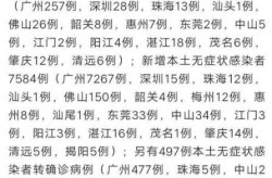 31省市新增确诊118例 新闻，31省区市增17例病例