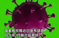 2023流行病毒叫什么名字（2009年流行病毒叫什么名字）