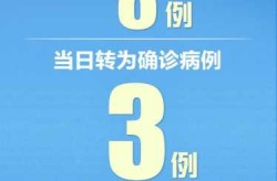 31省新增均为境外输入，31个省今天新增多少例