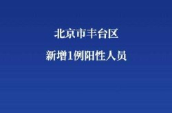 北京今天新增的一例在丰台，北京丰台区疫情最新消息今天