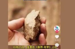 科学家证明吃“土”可治疗肠炎（治疗肠炎最好的土方法）