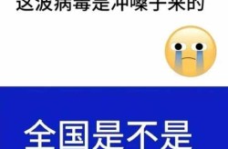 2024年11月病毒感染有什么症状呢（2024有什么病毒感染了）