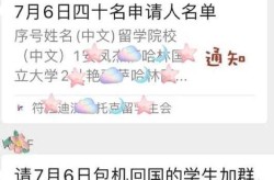 因疫情3年没回国的留学生自述（留学生因疫情回国学业怎么办）