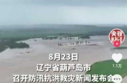 辽宁新增20例本土确诊 葫芦岛19例（辽宁葫芦岛属于哪个市）