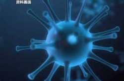 2023年12月什么病毒，2021年病毒叫什么