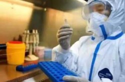 从国内案例看德尔塔病毒变异株，德尔塔毒株中国疫苗