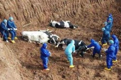 山东聊城有疫情么最近，山东聊城哪里发现新疫情了