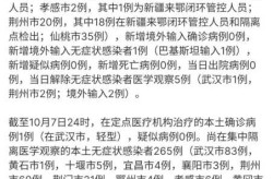 武汉最新疫情最新消息新增1例（武汉流感最新消息）