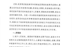 冬春季农村地区新冠肺炎疫情防控工作方案（农村地区疫情防控工作）