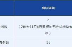 四川新增4例本土病例 详情公布（四川新增本土病例系原确诊者侄女）