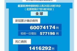 全球累计确诊病例超300万例（全球累计新冠确诊超46）