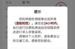 2名上海游客非检测异常后私自离开（检测到异常时自动优化在哪里）