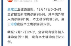 黑龙江新增本土确诊27例 黑河25例，黑龙江新增40例确诊 50例无症状
