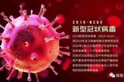 疫情为什么突然放开了不怕传染吗（为什么现在新冠病毒突然消失了）