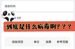 2024年8月全国法定传染病疫情概况（传染病疫情）