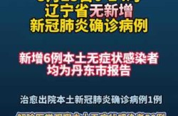 辽宁新增6例本土确诊病例，辽宁新增病例