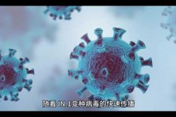 2024年病毒高发期，2004年病毒叫什么