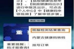 内蒙古一地将推行居民自采核酸（内蒙古居民电子健康码）