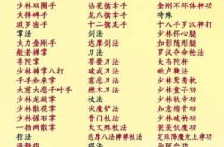圣火令材料，圣火令上面有什么武功