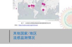 上海流感病毒最新通报，2025上海最新病毒