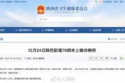 陕西本轮累计报告本土确诊34例（陕西确诊几例）