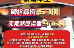 内蒙古新增9例本土病例，内蒙古今天新增病例