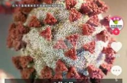 香港疫情最新情况 最新消息（今天香港疫情最新情况）