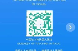 中韩协商建立健康码互认机制（韩国回国如何申请健康码）