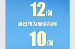 31省区新增本土确诊4例，31省疫情最新消息今天