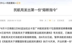 民航局对两航空公司发熔断指令（民航局熔断通知）