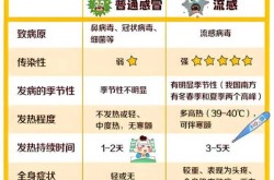 2024春节流感爆发还能旅游吗（2024年春运流感）
