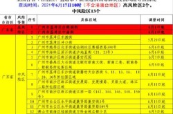 疫情中高风险地区最新名单百色（中高风险地区名单疫情）