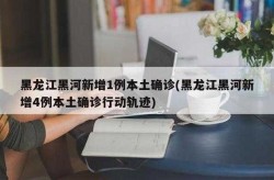 黑龙江黑河新增1例初筛阳性病例（黑龙江艾滋病感染者真实人数）