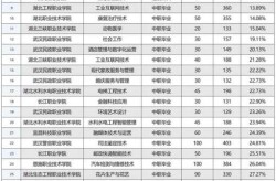 湖北新增专科学校名单，2025年湖北新增专科院校