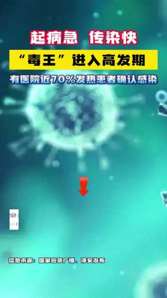 2024年11月份 新病毒 感染人数（2024年最新病毒）